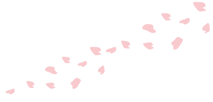 桜の花びら